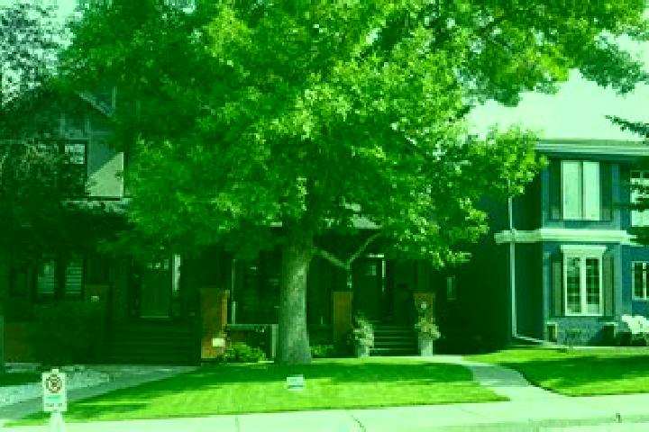 Escorts Leynes, France — Local Companions