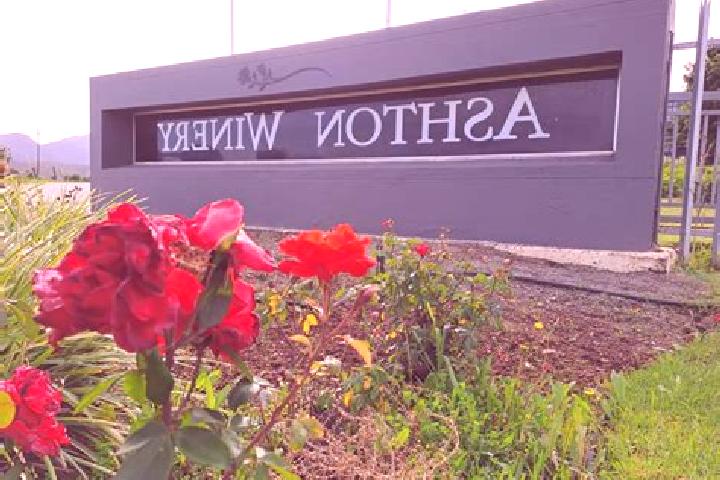 Escorts Maihama, Japan — Local Companions