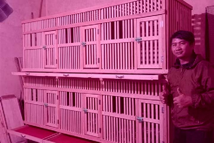 Escorts Markuszow, Poland — Local Companions