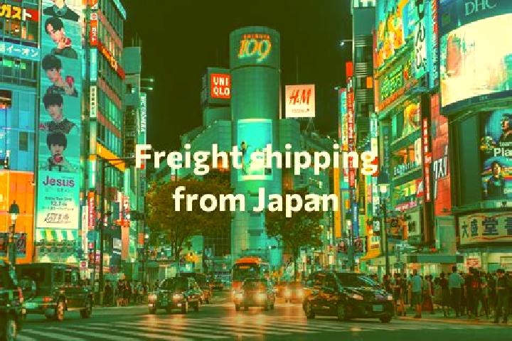 Escorts Muhmand Dara, Afghanistan — Local Companions