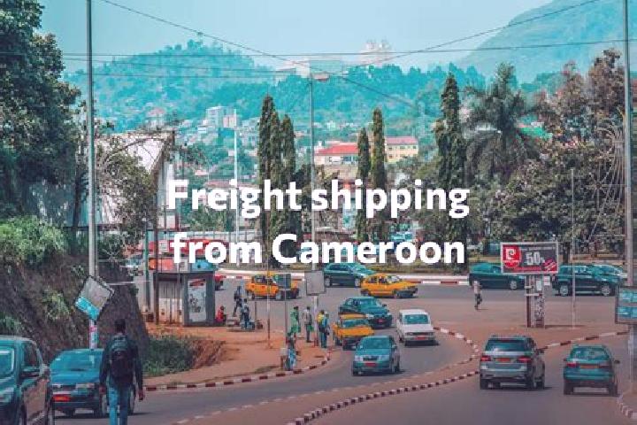 Escorts Obala, Cameroon — Local Companions