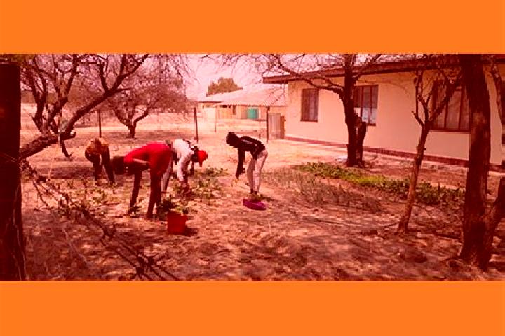 Escorts Oniipa, Namibia — Local Companions