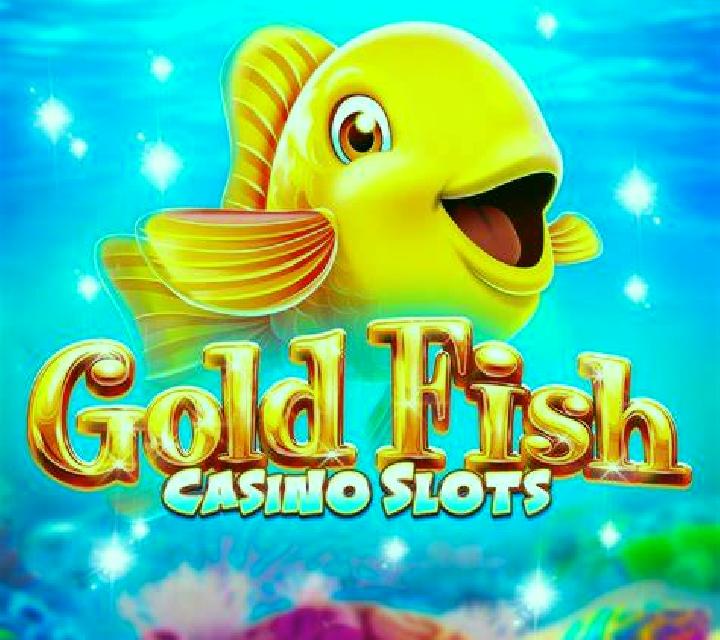 Evelyn, 27, a brunette blue-eyed latina companion based in Dehnow. Offering BDSM, Party Girl, Deep French Kissing. Available for incall and outcall, overnigh...