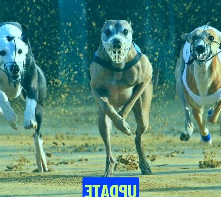 Harper, 25, a dark blonde dark-eyed indian companion based in Volgorechensk. Offering Deep French Kissing, GFE, Tantra. Available for incall and outcall, day...