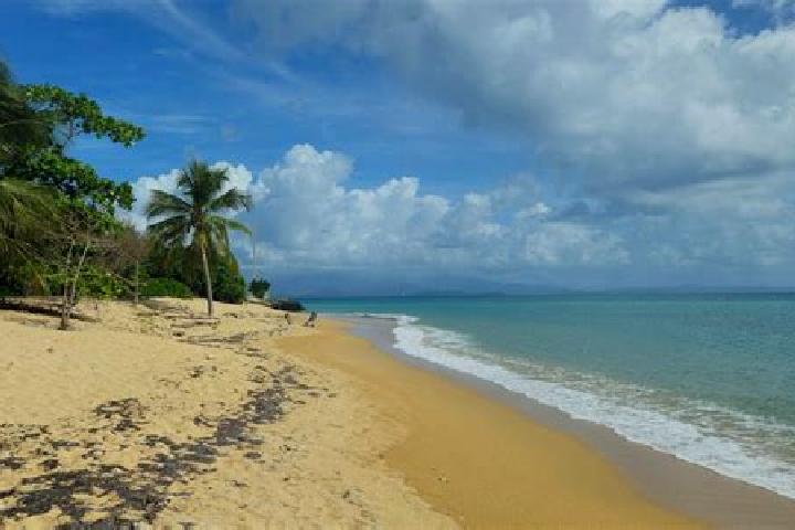 Harper, 35, a blonde dark-eyed caucasian companion based in Crailsheim. Offering Duos, Couples, 69, Girlfriend Experience. Available for incall and outcall, ...