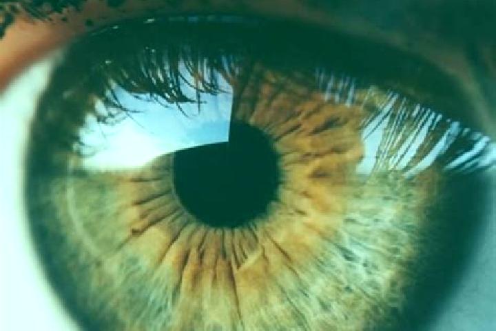 Iris, 31, a blonde brown-eyed caribbean companion based in Builth Wells. Offering A-Level, Roleplay, Deep French Kissing. Available for incall and outcall, d...
