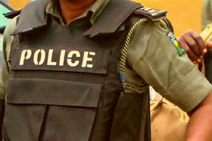 Isabella, 31 — Escort in Juniata Terrace, United States