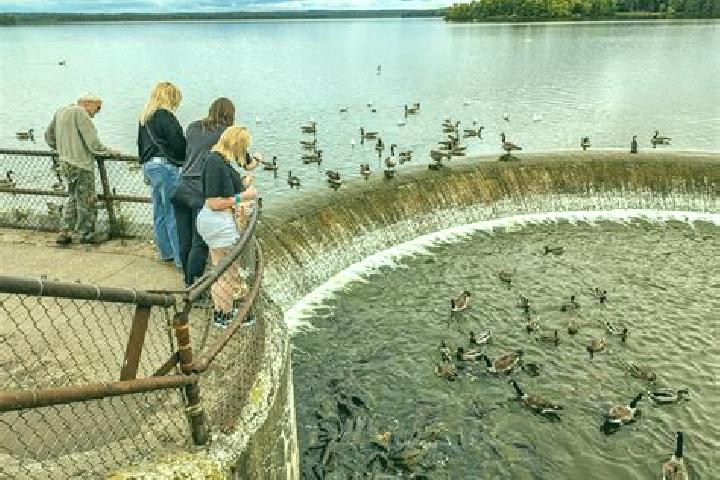 Isabella, 35, a red green-eyed caucasian companion based in Khubash. Offering 69, A-Level, Girlfriend Experience. Available for incall and outcall, overnight...