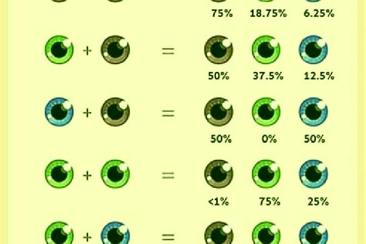 Ivy, 27, a chestnut blue-eyed middle eastern companion based in Freystadt. Offering Striptease, Couples, Roleplay, CIM, Party Girl. Available for incall and ...