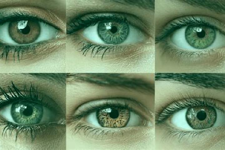 Ivy, 37, a dark blonde grey-eyed slavic companion based in Erlenbach. Offering Erotic Massage, A-Level, Tantra. Available for incall and outcall, overnight b...