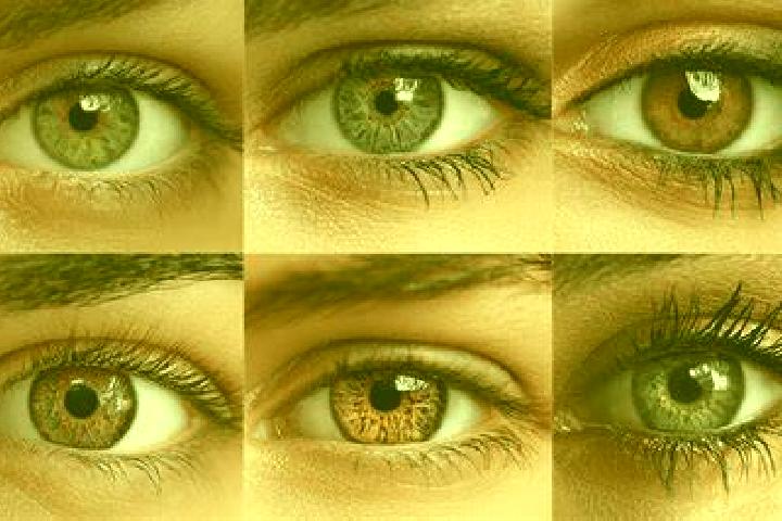 Ivy, 39, a chestnut dark-eyed mixed companion based in Trikur. Offering Overnight, Duos, Domination, Roleplay. Available for incall and outcall, day and even...