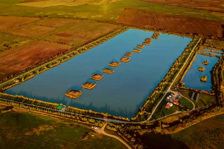 Kinsley, 35 — Escort in Walthall, United States