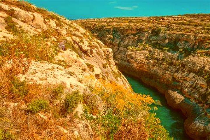Kinsley, 39, a chestnut amber-eyed indian companion based in Primero de Enero. Offering Prostate Massage, OWO, Dinner Date. Available for incall and outcall,...