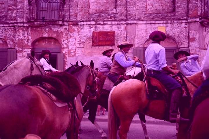 Layla, 37, a auburn green-eyed indian companion based in Andritz. Offering 69, Party Girl, Massage. Available for incall and outcall, overnight bookings avai...