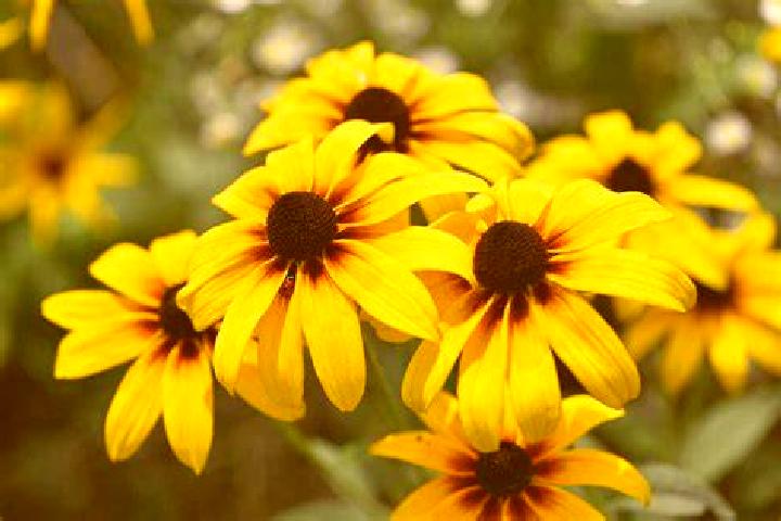Lillian, 21, a platinum blonde blue-eyed latina companion based in Famagusta. Offering Party Girl, 69, A-Level, CIM, Roleplay. Available for incall and outca...