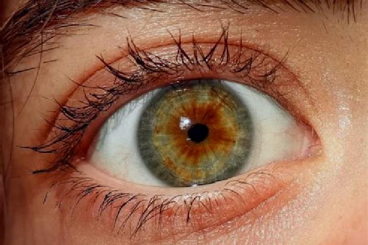 Lillian, 30, a chestnut dark-eyed caucasian companion based in Zrece. Offering Erotic Massage, Travel Companion, Overnight, BDSM, Fetish. Available for incal...