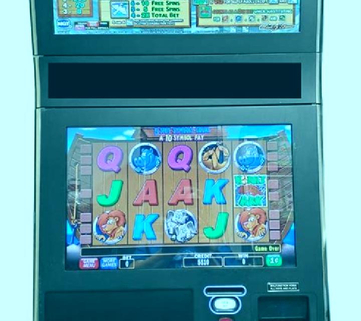 Lily, 25, a chestnut brown-eyed latina companion based in El Mirasol. Offering Duos, OWO, CIM. Available for incall and outcall, overnight bookings available.