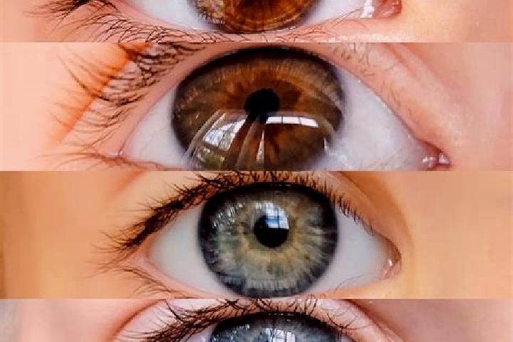 Lily, 29, a chestnut grey-eyed middle eastern companion based in Katouna. Offering A-Level, Roleplay, Duos. Available for incall and outcall, day and evening...