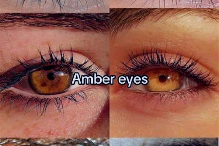 Lily, 37, a auburn green-eyed mediterranean companion based in La Toma. Offering Overnight, Massage. Available for incall and outcall, overnight bookings ava...