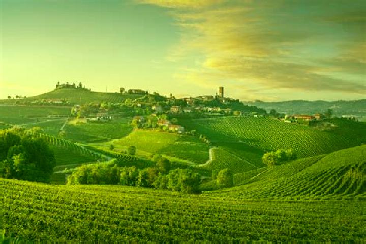 Lily, 39 — Escort in San Baltazar, Mexico