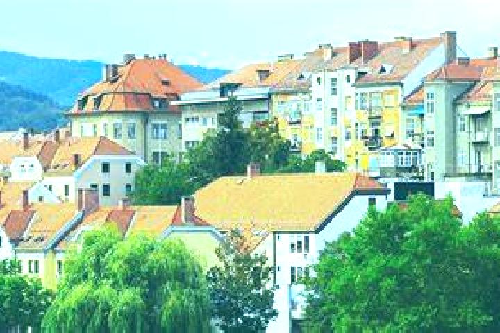 Lily, 39 — Escort in Tanumah, Saudi Arabia