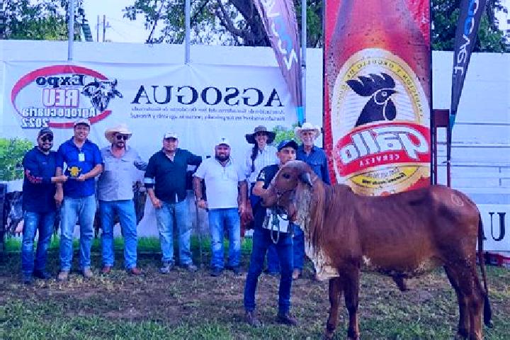 Madison, 35, a blonde dark-eyed asian companion based in Stevens Point. Offering A-Level, Couples, Prostate Massage, Striptease, Duos. Available for incall a...
