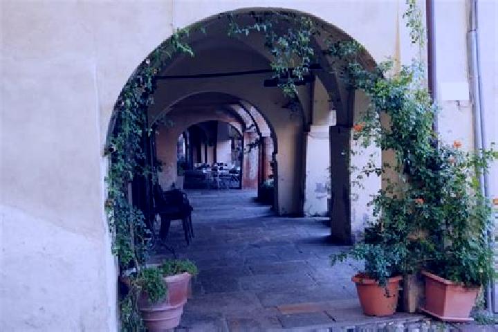 Madison, 36 — Escort in Auricarro, Italy
