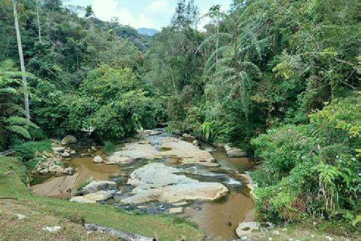 Maya, 36, a chestnut grey-eyed ebony companion based in El Pinito. Offering Prostate Massage, CIM, Massage, Duos. Available for incall and outcall, day and e...