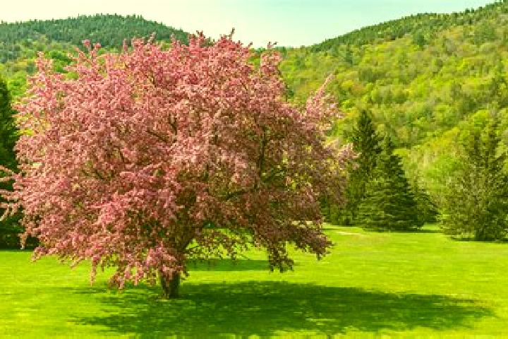 Mia, 33, a red dark-eyed ebony companion based in Miranda. Offering OWO, Duos, Massage. Available for incall and outcall, day and evening dates.