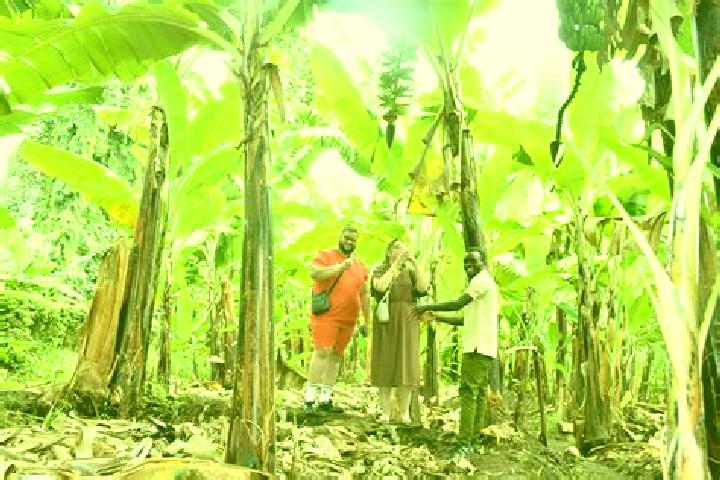 Mia, 36 — Escort in Ravnje, Serbia