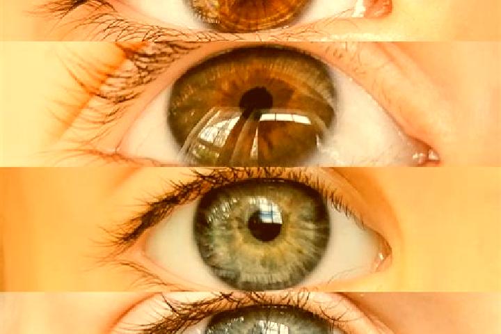 Mila, 25, a brunette brown-eyed middle eastern companion based in Unterbodnitz. Offering Travel Companion, Couples, GFE. Available for incall and outcall, ov...