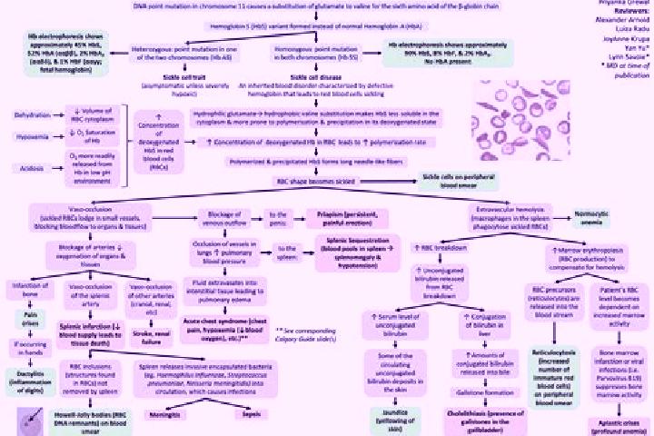 Mila, 33, a red hazel-eyed middle eastern companion based in Kunming. Offering Couples, Fetish, A-Level. Available for incall and outcall, overnight bookings...