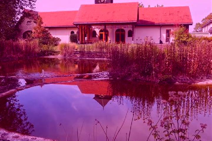 Mila, 35 — Escort in Man, Ivory Coast