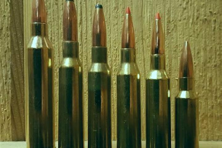 Naomi, 31 — Escort in Kosina, Poland