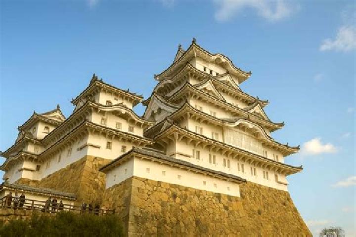 Nova, 25, a auburn blue-eyed latina companion based in Capu Dealului. Offering Striptease, A-Level, Domination. Available for incall and outcall, overnight b...