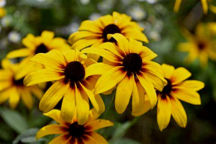 Olivia, 26, a auburn green-eyed middle eastern companion based in Rogowo. Offering Roleplay, Tantra, CIM, Domination, 69. Available for incall and outcall, d...