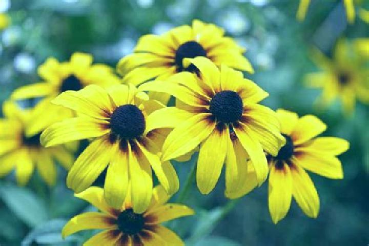 Olivia, 36, a auburn grey-eyed caucasian companion based in Estree-Blanche. Offering Girlfriend Experience, Duos, Party Girl, Roleplay. Available for incall ...