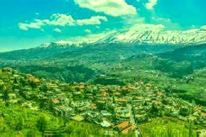 Quinn, 23 — Escort in Bomomani, Indonesia
