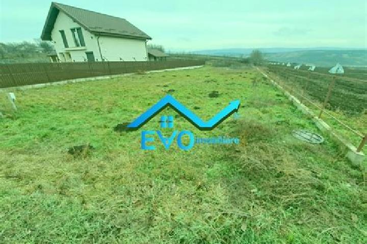 Rose, 22 — Escort in Suko Wetan, Indonesia