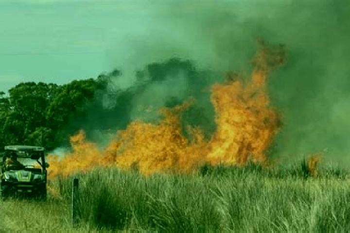 Rose, 38 — Escort in Tayzhina, Russia