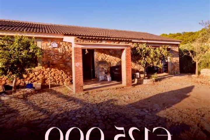 Rose, 39, a black hazel-eyed mixed companion based in Mercurim. Offering BDSM, Fetish, Tantra. Available for incall and outcall, overnight bookings available.