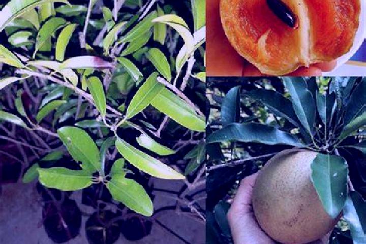 Ruby, 34, a blonde brown-eyed indian companion based in Kagbolokaha. Offering Roleplay, Domination, BDSM. Available for incall and outcall, day and evening d...
