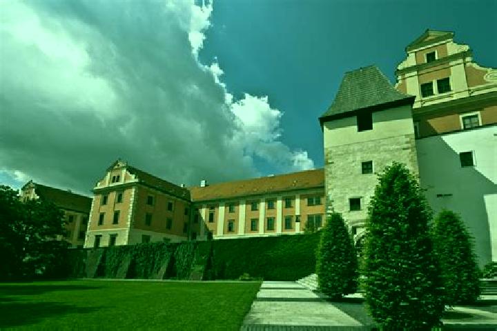Ruby, 35, a red brown-eyed latina companion based in Saint-Romphaire. Offering Roleplay, OWO, Prostate Massage, Party Girl. Available for incall and outcall,...