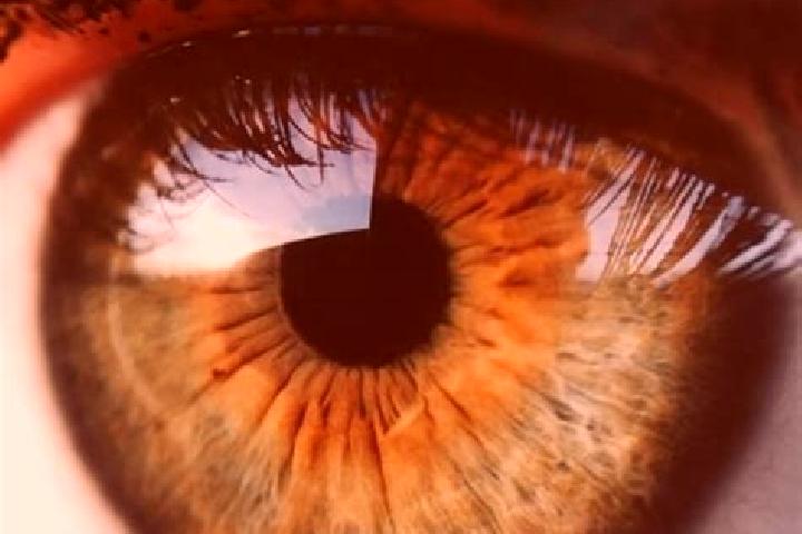 Sadie, 31, a black brown-eyed latina companion based in Arijejen. Offering A-Level, GFE, 69, Dinner Date. Available for incall and outcall, day and evening d...