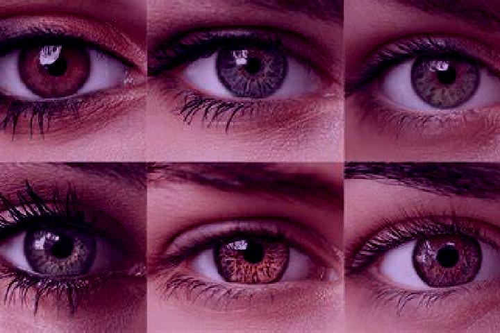 Sadie, 37, a chestnut dark-eyed ebony companion based in Bluffton. Offering Deep French Kissing, Tantra, BDSM. Available for incall and outcall, day and even...