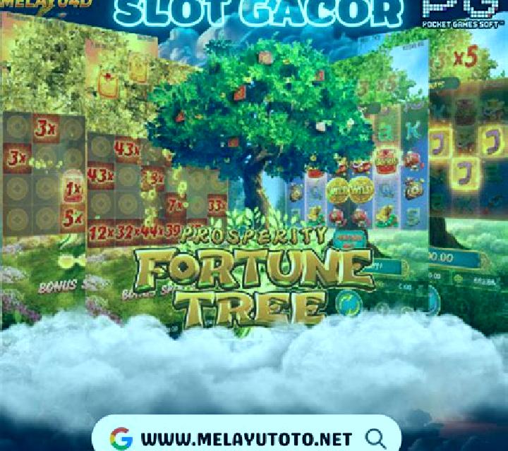 Sage, 28, a chestnut amber-eyed asian companion based in Chesnee. Offering Overnight, OWO, Deep French Kissing, Fetish. Available for incall and outcall, day...