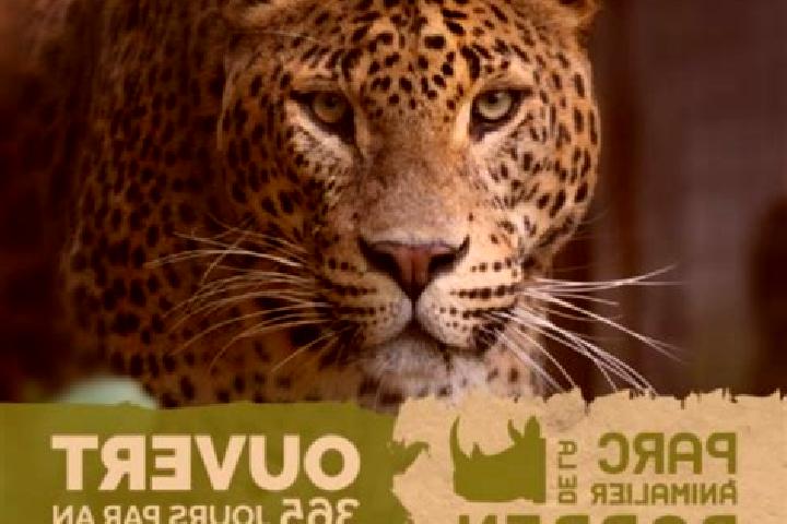 Sage, 30 — Escort in New Athens, United States