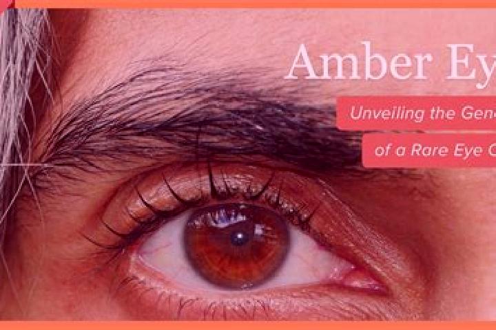 Scarlett, 20, a red amber-eyed indian companion based in Arch. Offering Girlfriend Experience, Striptease, OWO, CIM. Available for incall and outcall, day an...