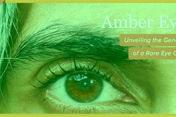 Sienna, 34, a platinum blonde green-eyed middle eastern companion based in Gnas. Offering A-Level, 69, Erotic Massage, BDSM. Available for incall and outcall...