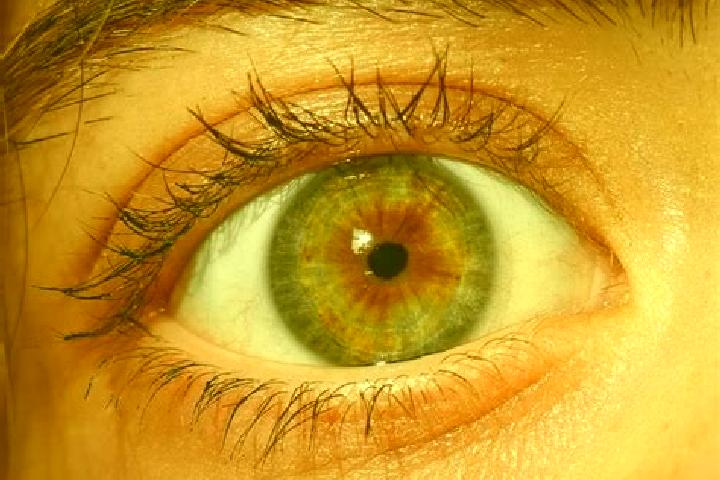 Sofia, 24, a platinum blonde dark-eyed mixed companion based in Gapluk. Offering A-Level, Party Girl, Couples. Available for incall and outcall, overnight bo...